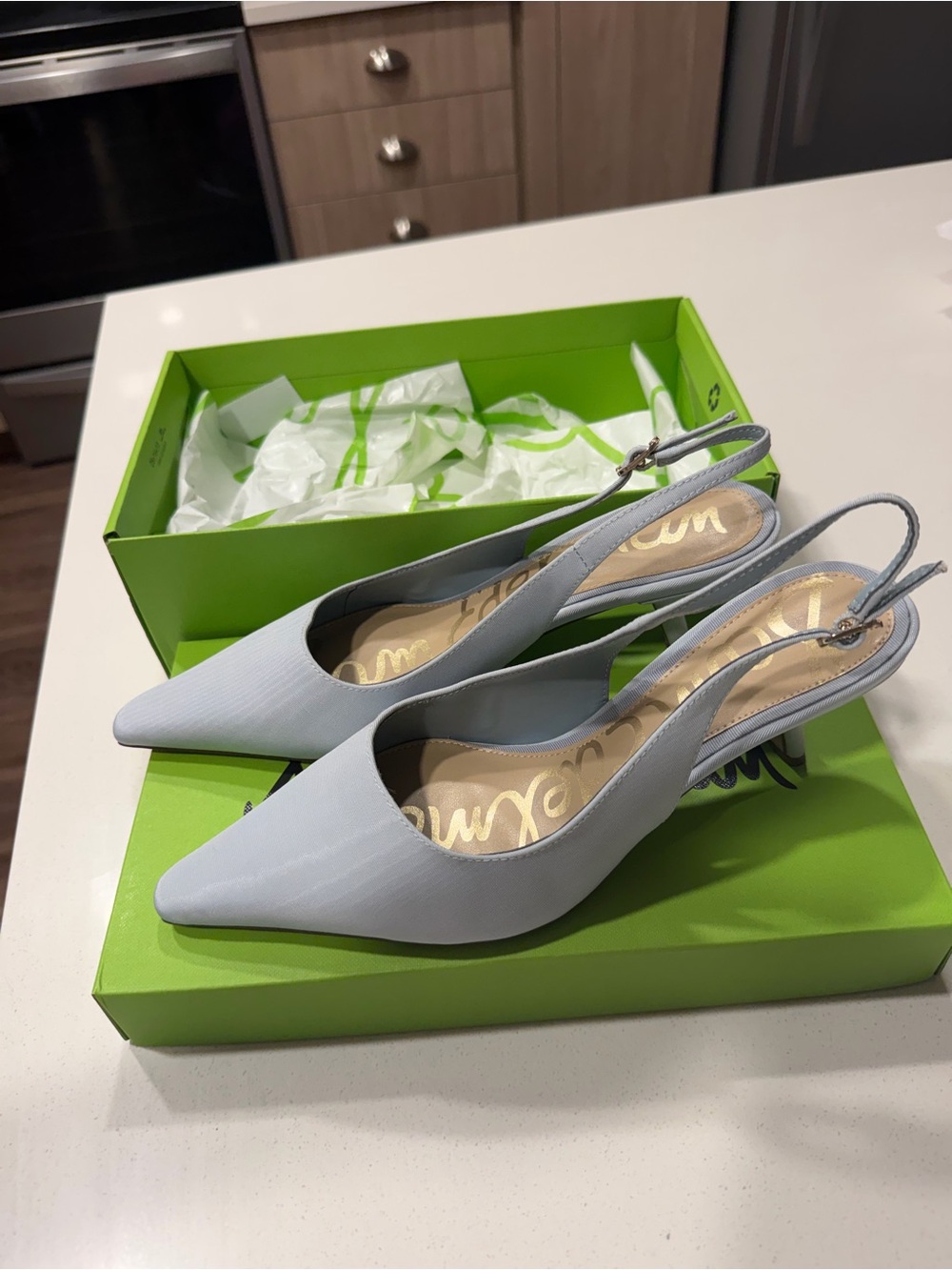 Sam Edelman Powder Blue Pointed-Toe Slingback Pumps